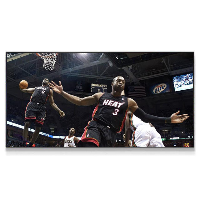 LeBron James Heat - Horizontal 2:1 WallArt